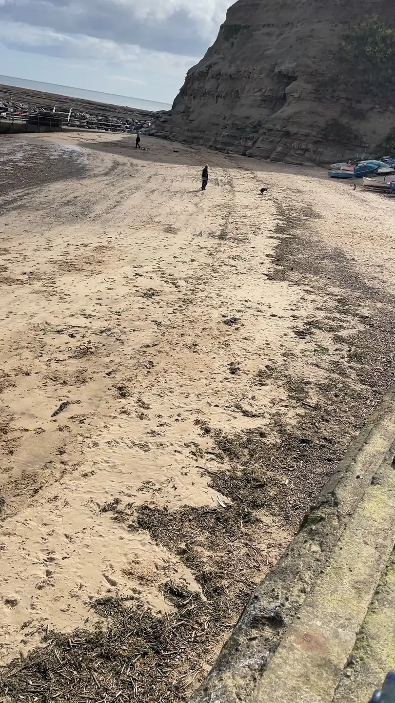 Dog walkers on Staithes beach at low tide below the cliffs