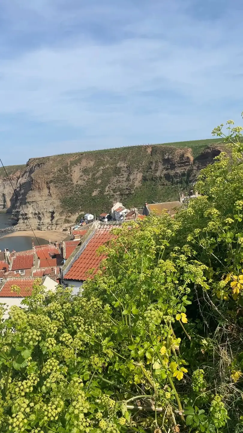 Red pantile roofs of Staithes and the cliffs, seen from the coast path